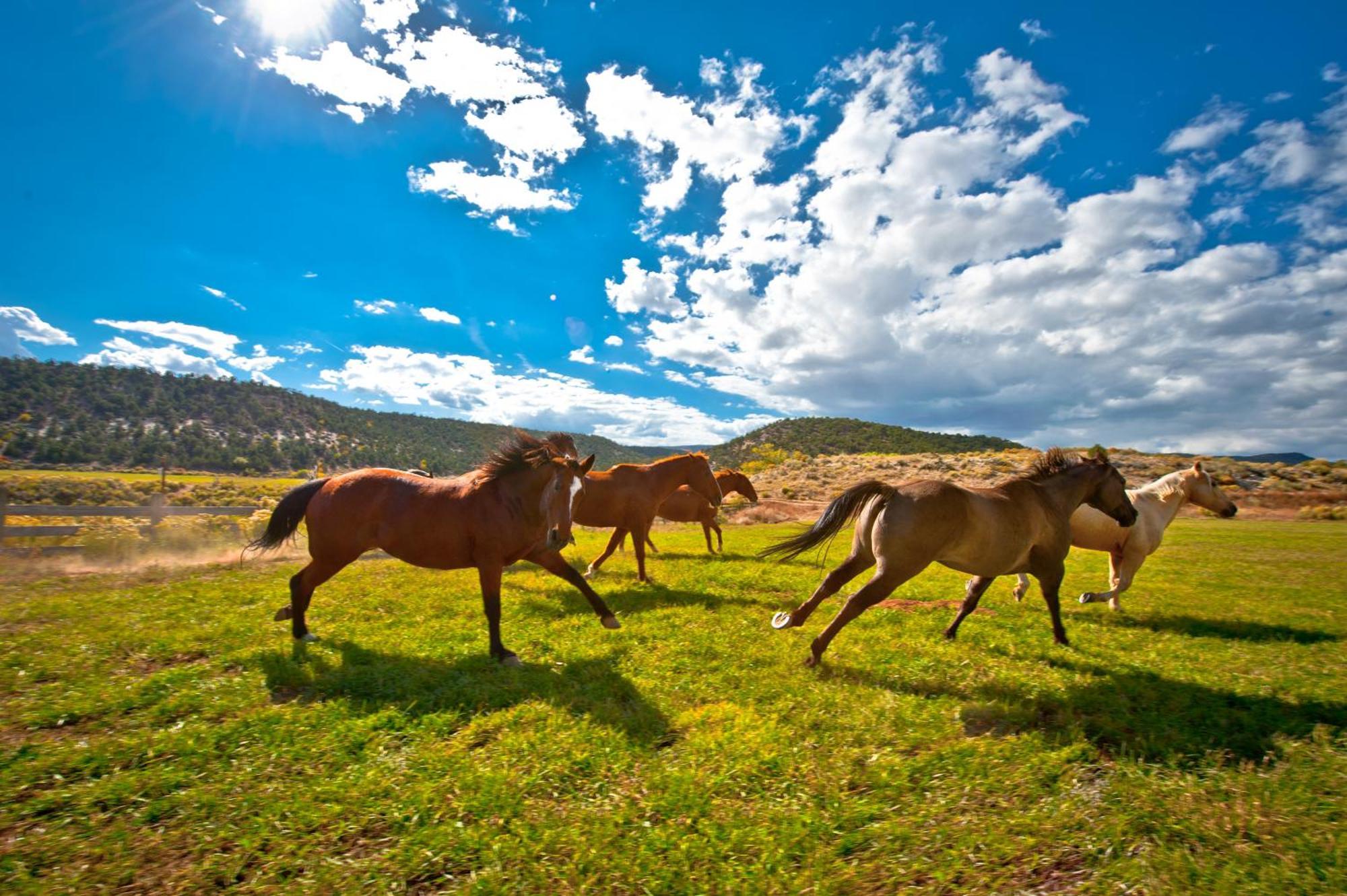 Boulder Mountain Guest Ranch Villa Exterior photo